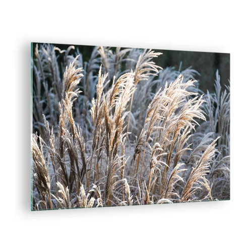 Tablou pe sticlă - Ierburi înghețate în soarele de iarnă - 70x50cm - Împodobite cu brumă - Decorațiune modernă pentru perete pentru living și dormitor ARTTOR