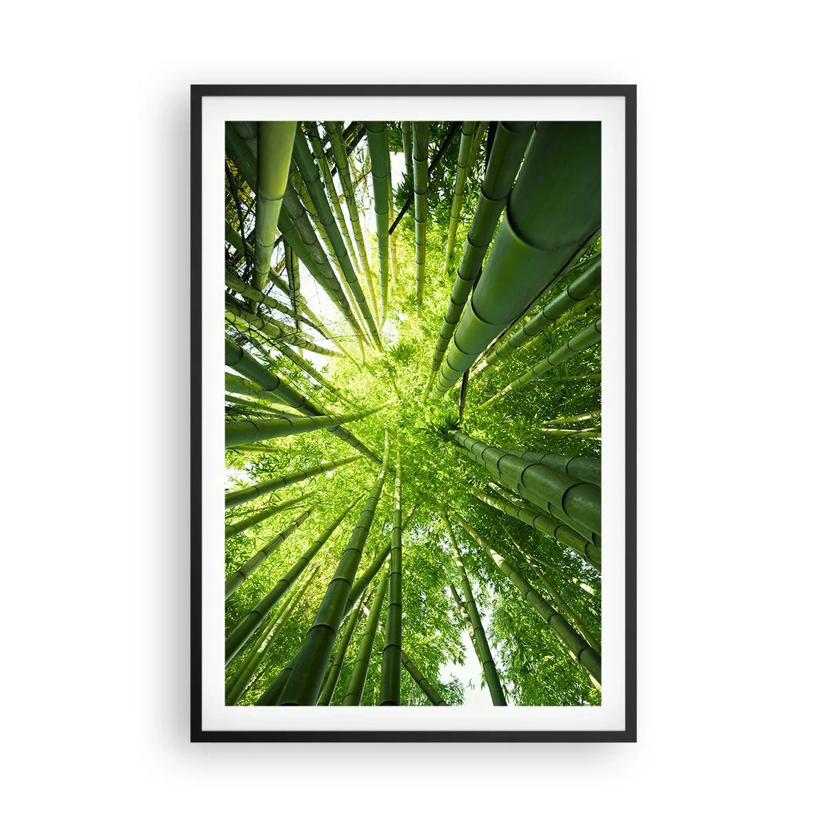 Poster în ramă neagră - Într-o pădure de bambus - 61x91 cm