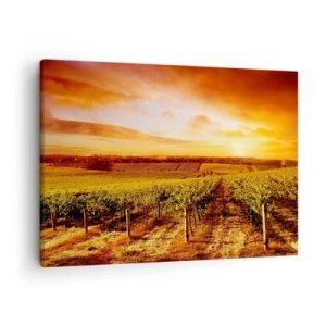 Tablou pe pânză Canvas - Podgorie la apus cu tonuri calde de cer - 70x50cm - Cu un iz de fructe, cu o notă de soare - Decorațiune modernă pentru perete pentru living și dormitor ARTTOR