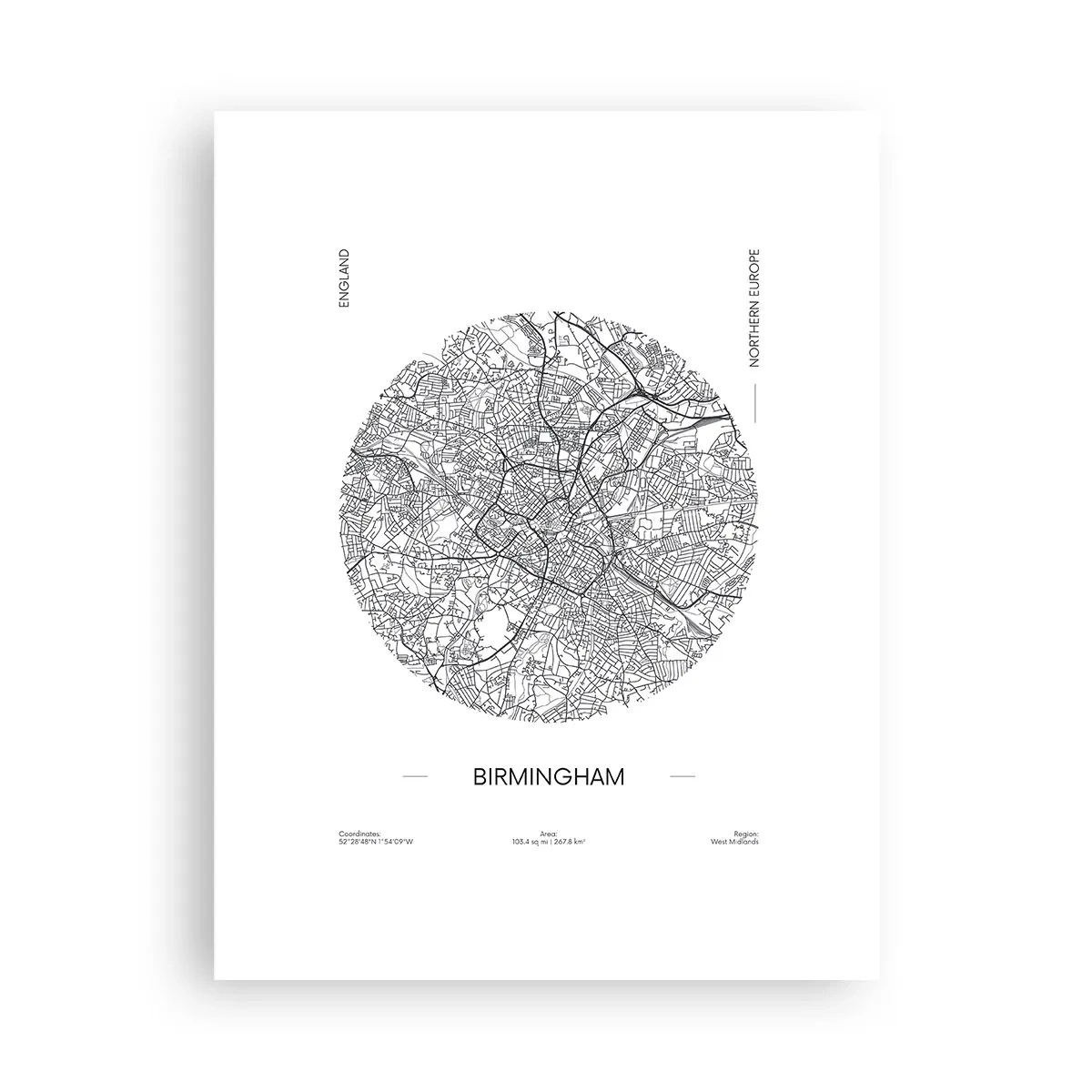 Poster - Anatomia Birmingham - 30x40 cm