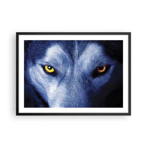 Poster în ramă neagră - O privire hipnotizantă - 70x50 cm
