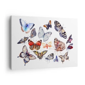 Tablou pe pânză Canvas - Fluturi colorați pe fundal alb - 70x50cm - Un roi colorat de dantelă - Decorațiune modernă pentru perete pentru living și dormitor ARTTOR