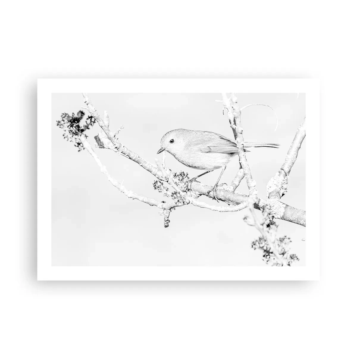 Poster - Dimineață de iarnă - 70x50 cm