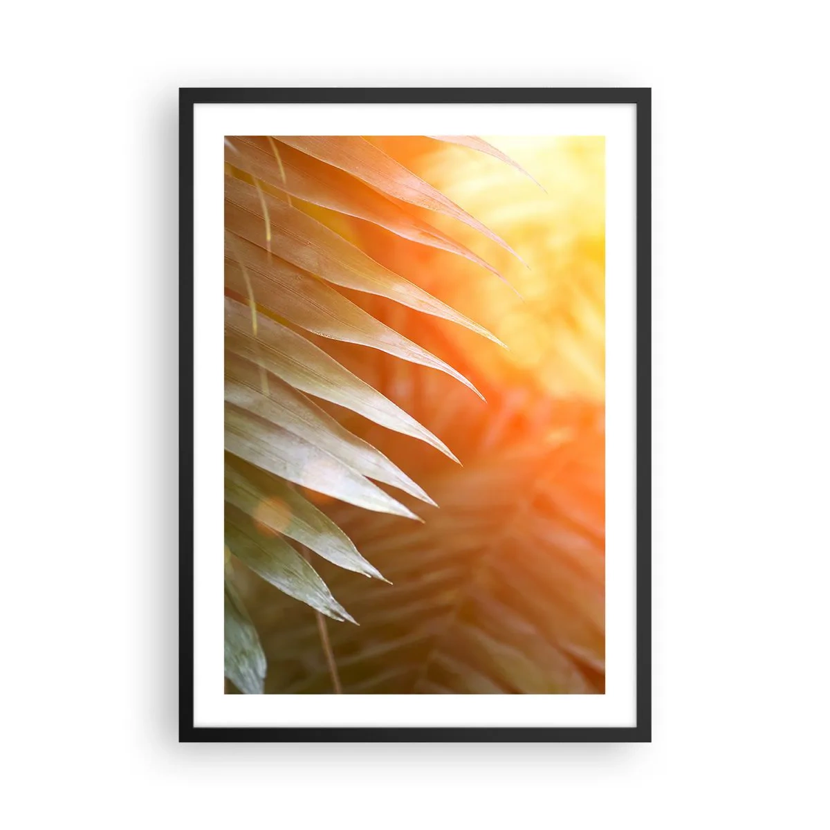 Poster în ramă neagră - Frunze de palmier în lumina soarelui care apune - 50x70cm - Dimineață în junglă - Decorațiune modernă pentru perete pentru living și dormitor ARTTOR