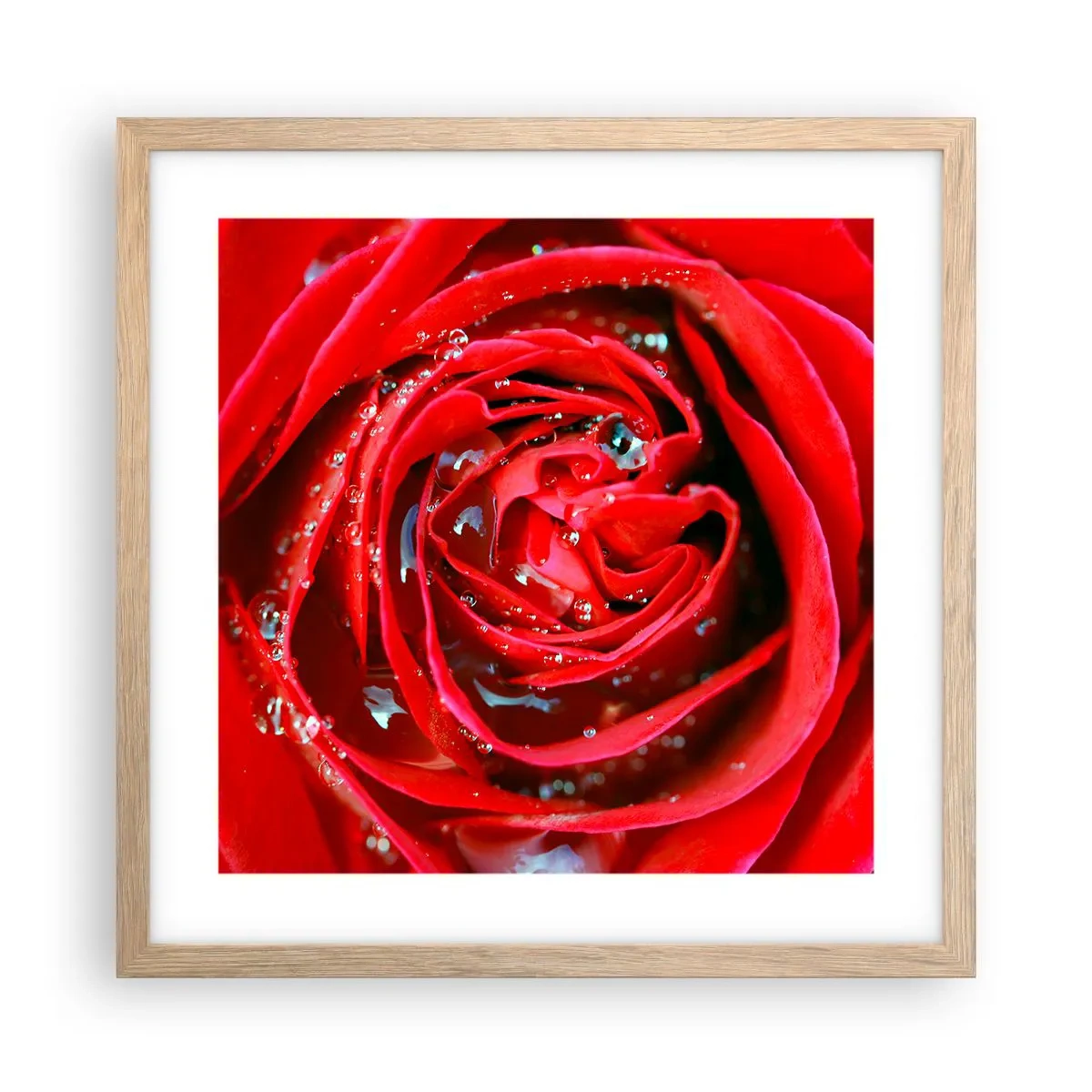 Poster în ramă de stejar deschis - În picături de rouă - 40x40 cm