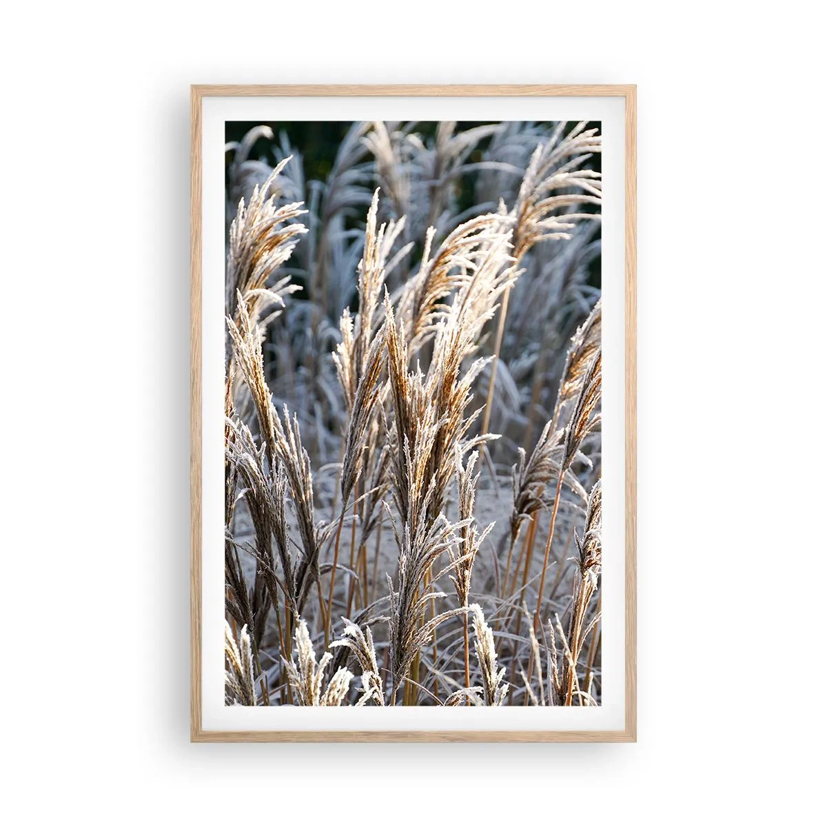 Poster în ramă de stejar deschis - Împodobite cu brumă - 61x91 cm