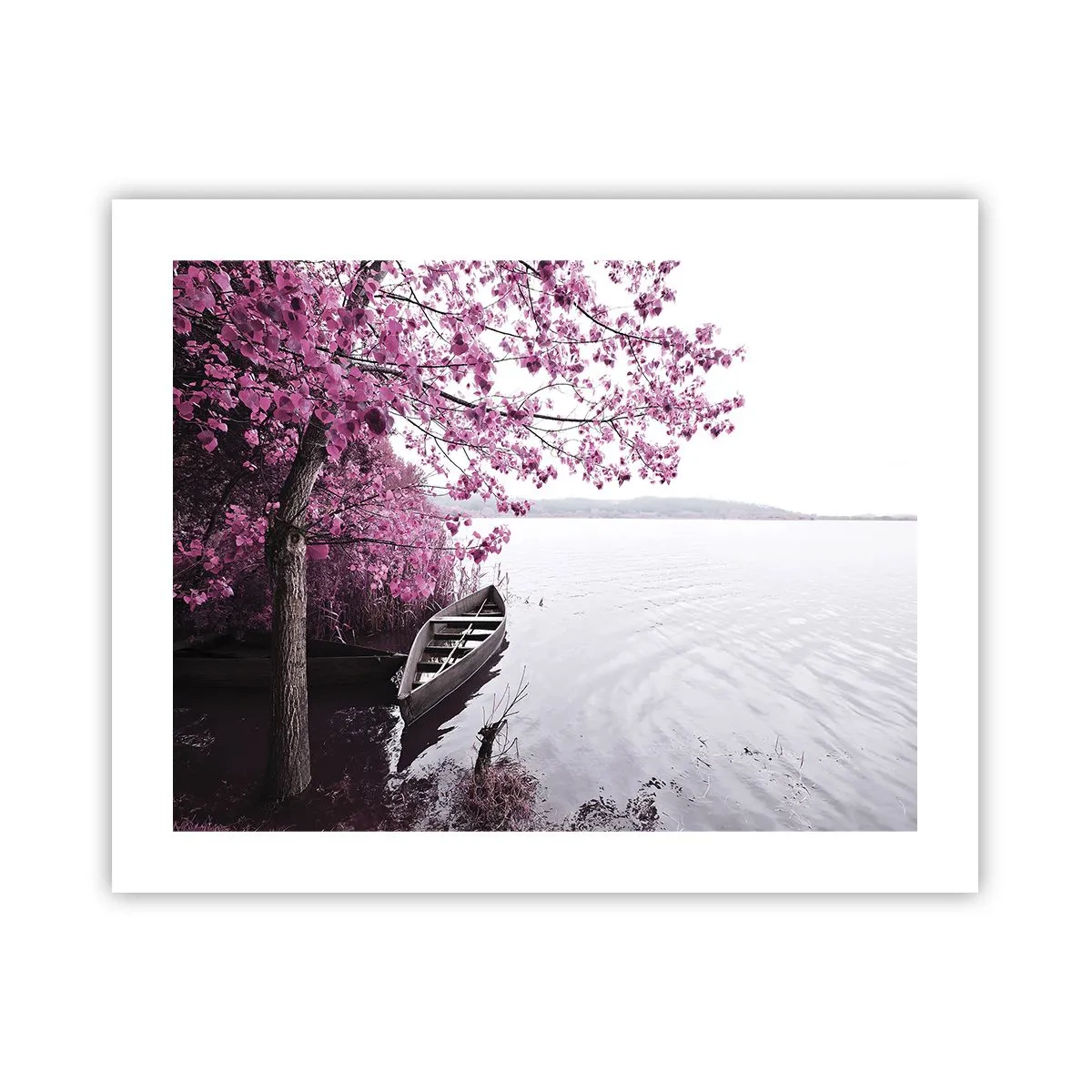 Poster - În tăcerea roz - 50x40 cm