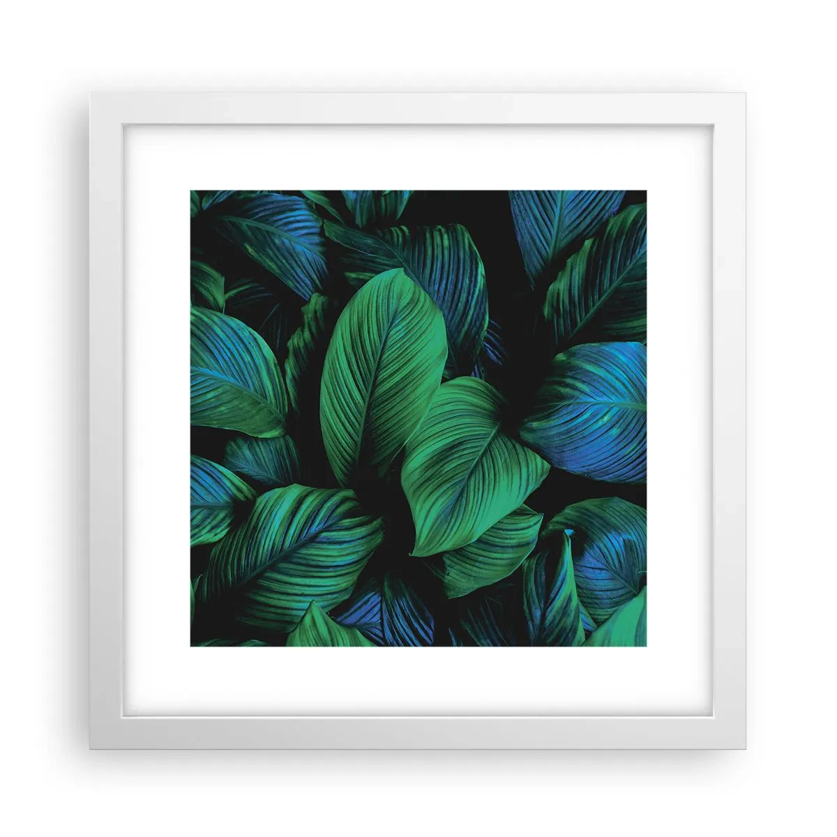 Poster în ramă albă - Traficul verde - 30x30 cm