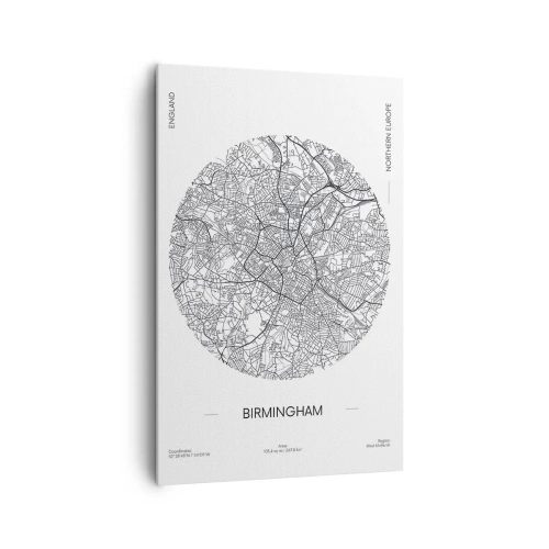 Tablou pe pânză - Anatomia Birmingham - 80x120 cm