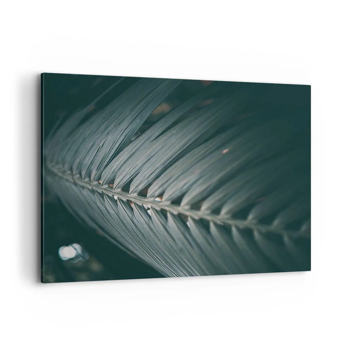 Tablou pe pânză - Precizia naturii - 100x70 cm