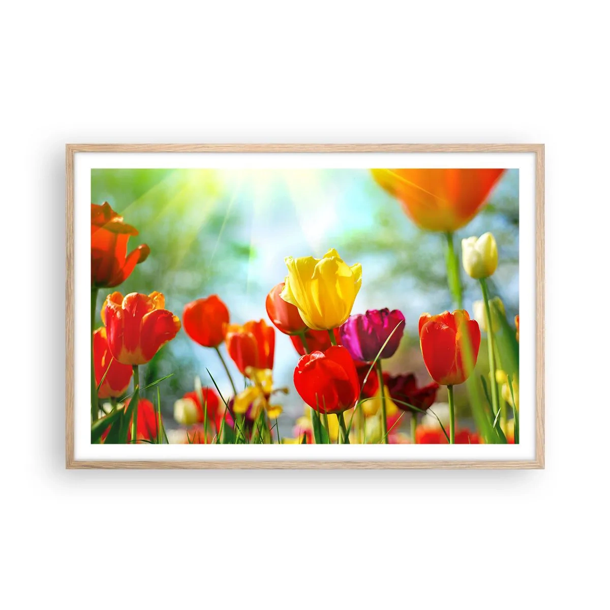 Poster în ramă de stejar deschis - Toate culorile soarelui - 91x61 cm