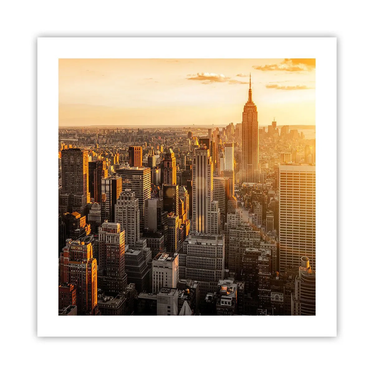 Poster - Crescând la soare - 50x50 cm