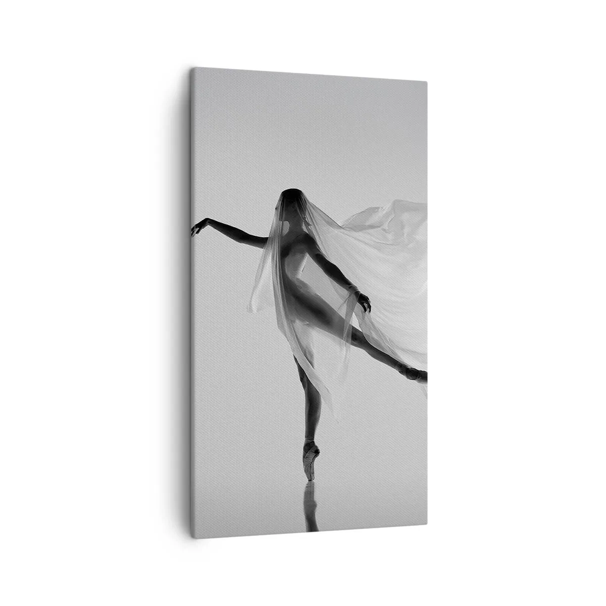 Tablou pe pânză - Lejeritate și grație - 45x80 cm