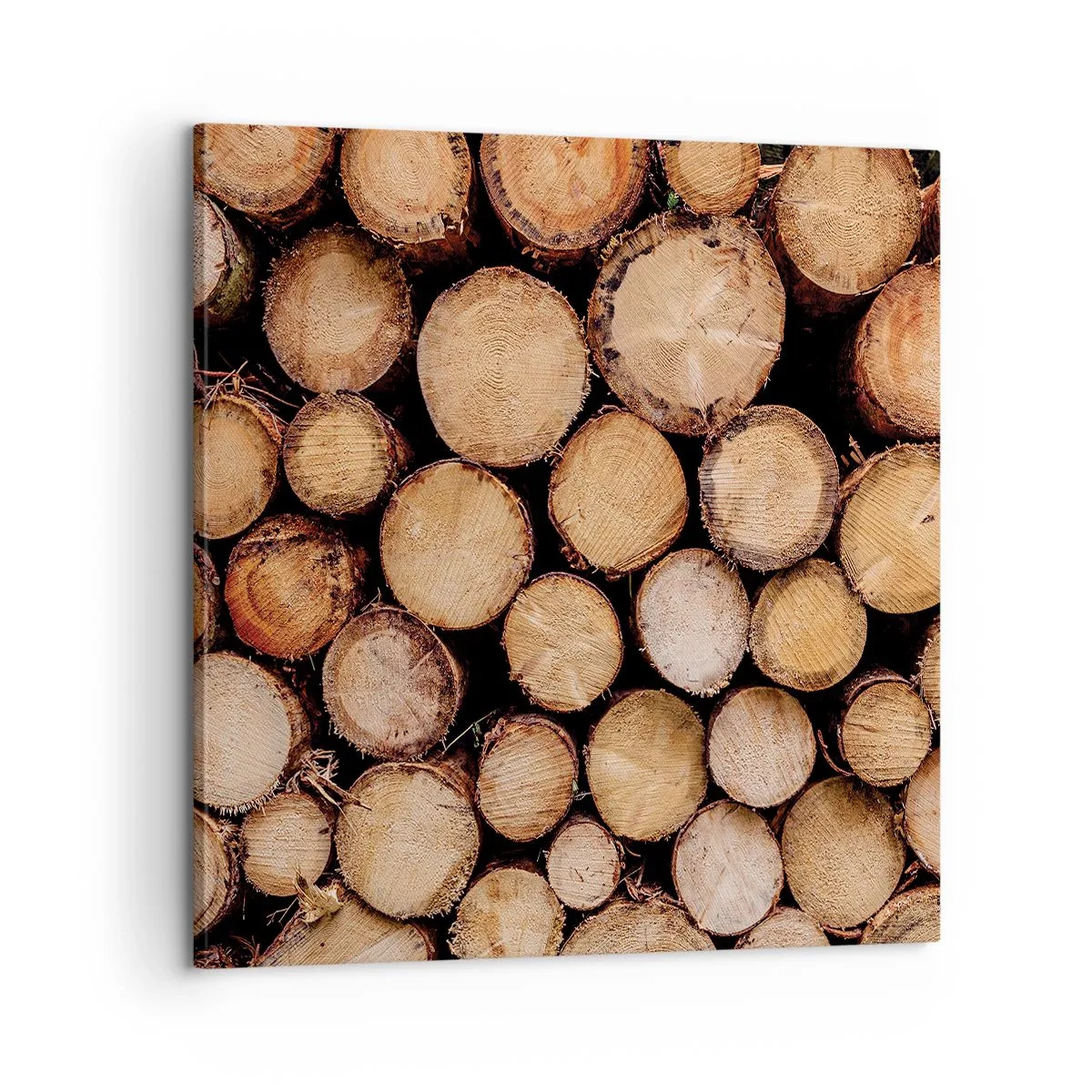 Tablou pe pânză - Un nou început - 60x60 cm