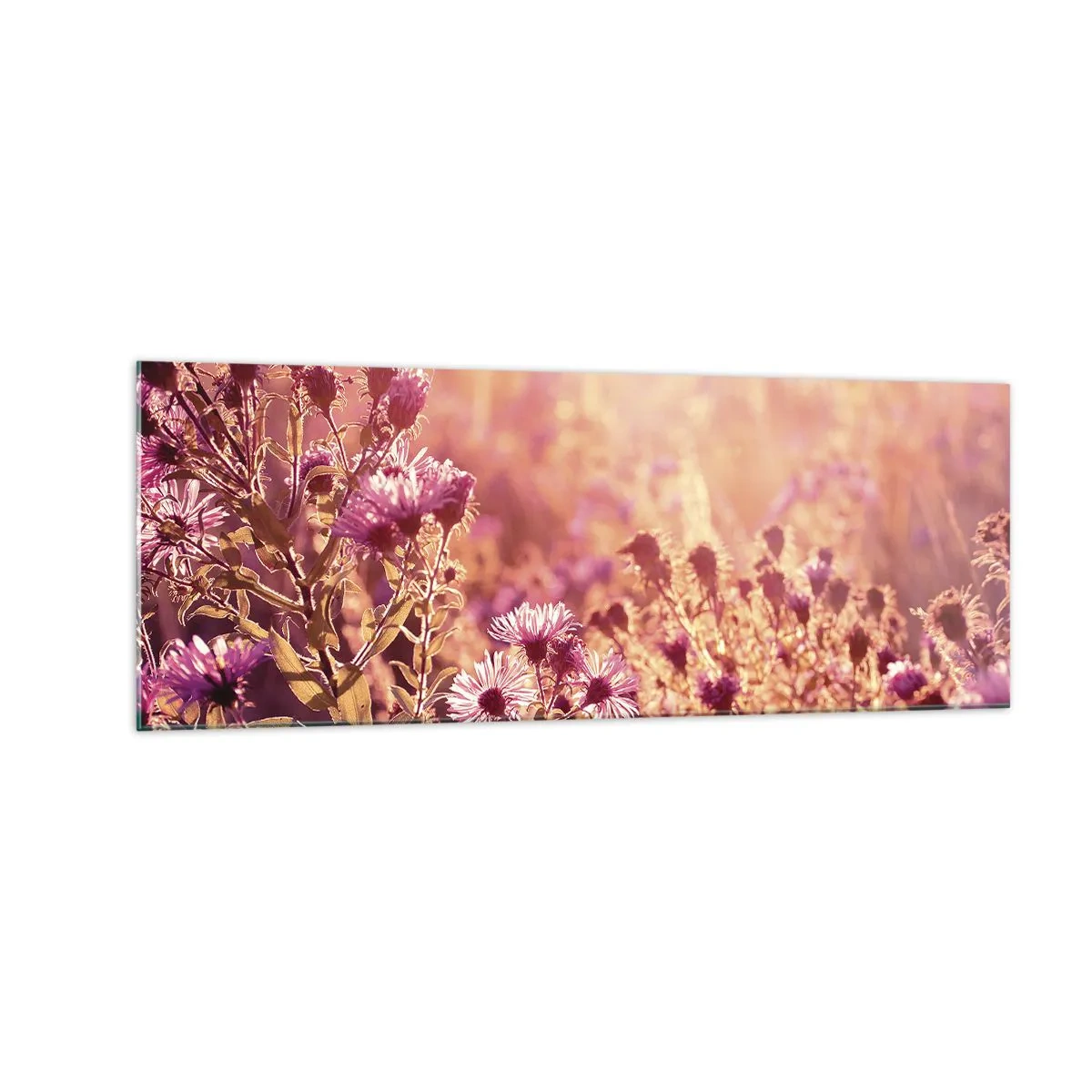 Tablou pe sticlă - Înainte ca vara să plece - 140x50 cm