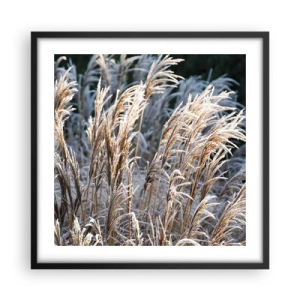 Poster în ramă neagră - Împodobite cu brumă - 50x50 cm