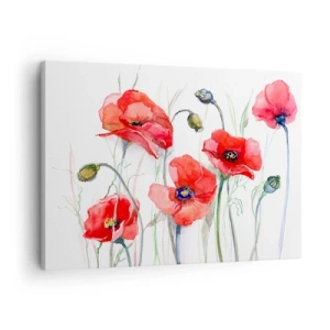 Tablou pe pânză Canvas - Maci în acuarelă pe un fundal delicat - 70x50cm - Flori poloneze - Decorațiune modernă pentru perete pentru living și dormitor ARTTOR