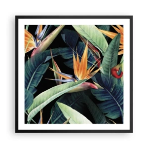 Poster în ramă neagră - Florile de flacără ale tropicelor - 60x60 cm