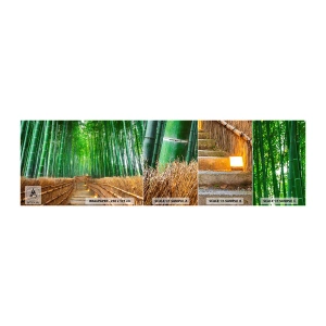 Mostră tapet autocolant Deluxe Sticker - Esența naturii asiatice - Bambus, Pădure de bambus, Natură - 100x30 cm