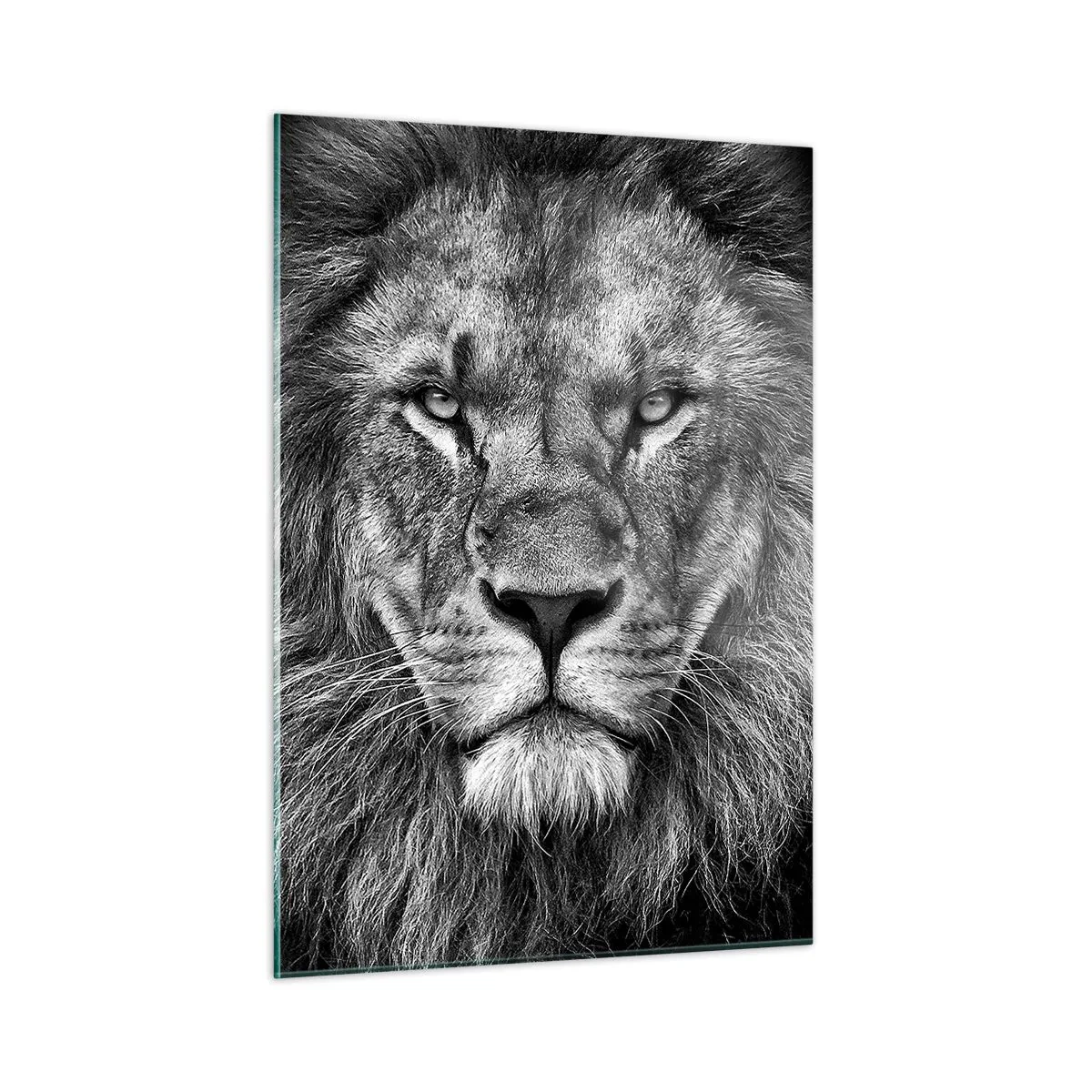 Tablou pe sticlă - În ținuta de încoronare - 50x70 cm