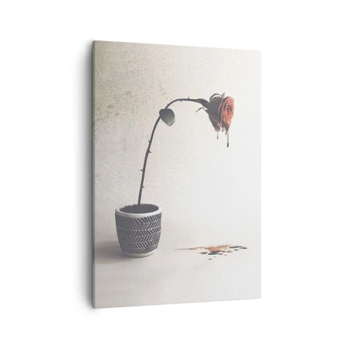 Tablou pe pânză - Rosa dolorosa - 50x70 cm