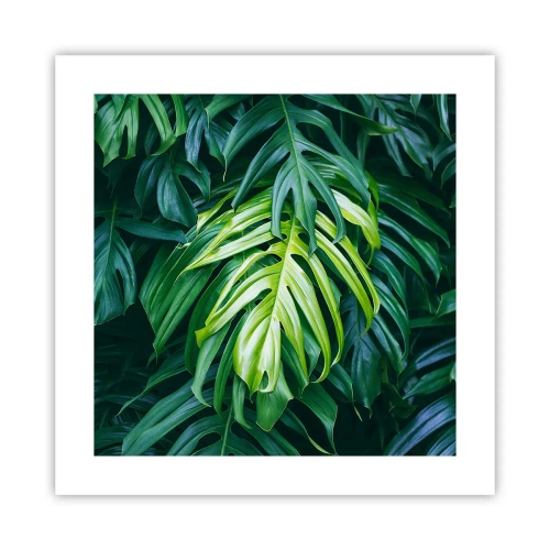 Poster - Scufundă-te în prospețime - 40x40 cm