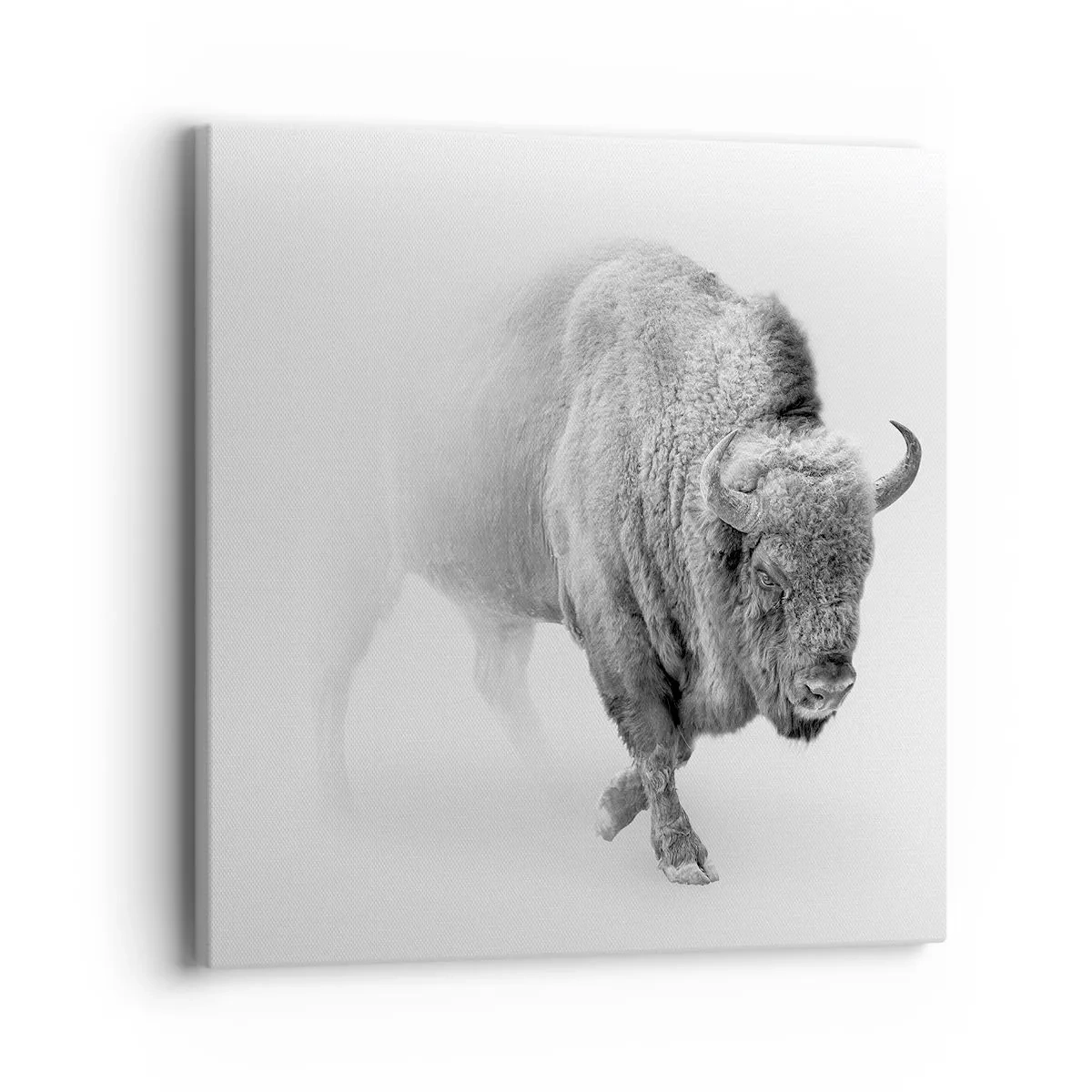 Tablou pe pânză - Regele preriilor - 40x40 cm