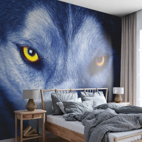 Tapet Standard Eco - Privirea fascinantă a unui lup pe un fundal întunecat - 100x70cm - O privire hipnotizantă - Decorațiune modernă pentru perete pentru living și dormitor ARTTOR