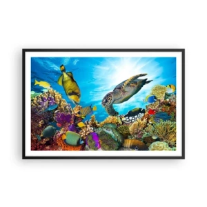 Poster în ramă neagră - Promenada de corali - 91x61 cm