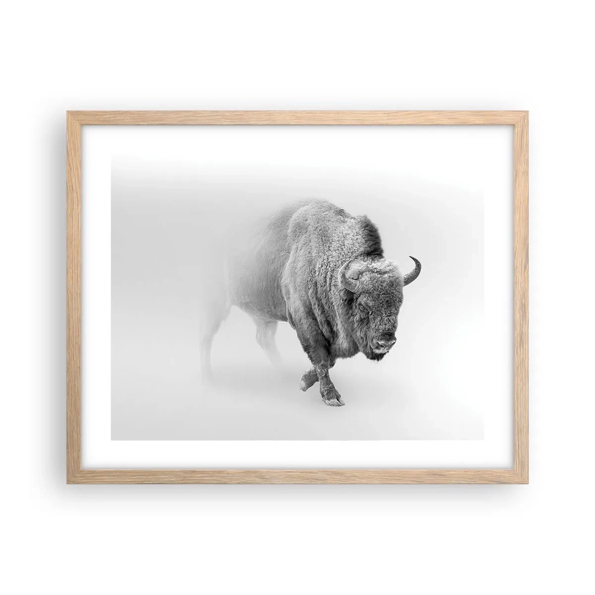 Poster în ramă de stejar deschis - Regele preriilor - 50x40 cm