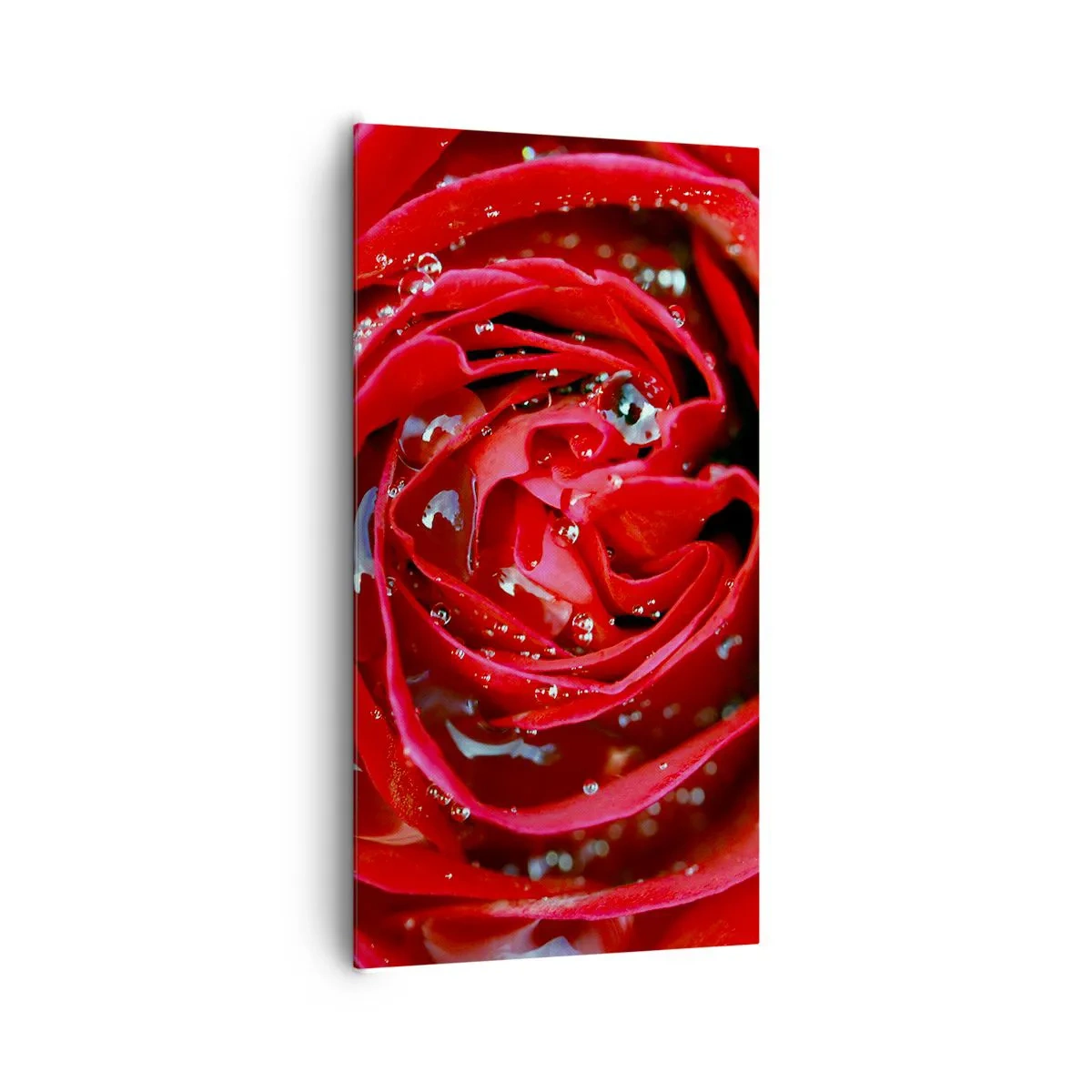 Tablou pe pânză - În picături de rouă - 65x120 cm