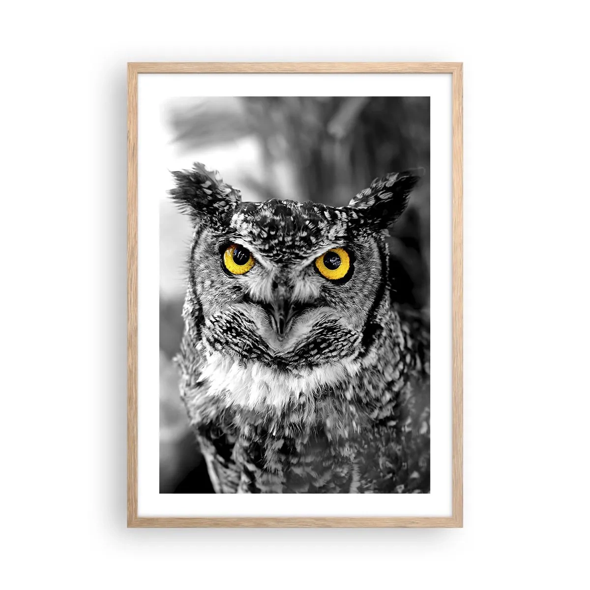 Poster în ramă de stejar deschis - Nimic nu poate fi ascuns - 50x70 cm