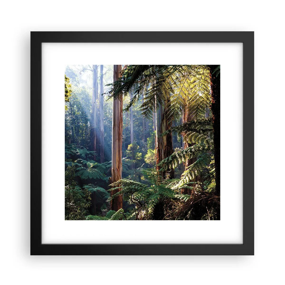 Poster în ramă neagră - O poveste din pădure - 30x30 cm