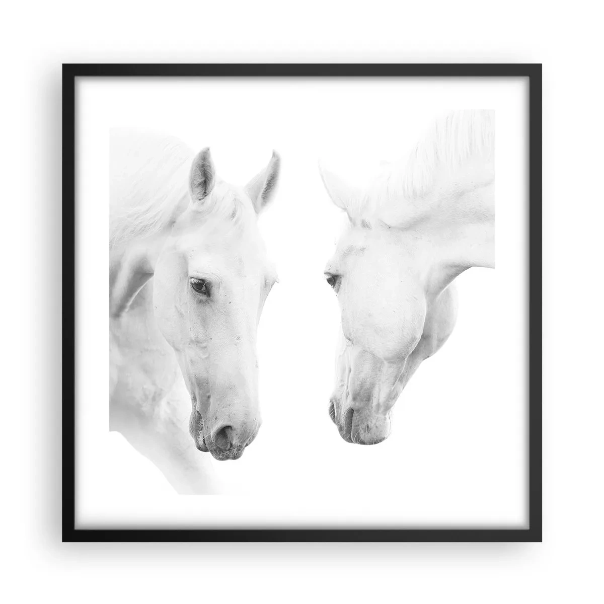 Poster în ramă neagră - Este aceasta o prietenie...? - 50x50 cm