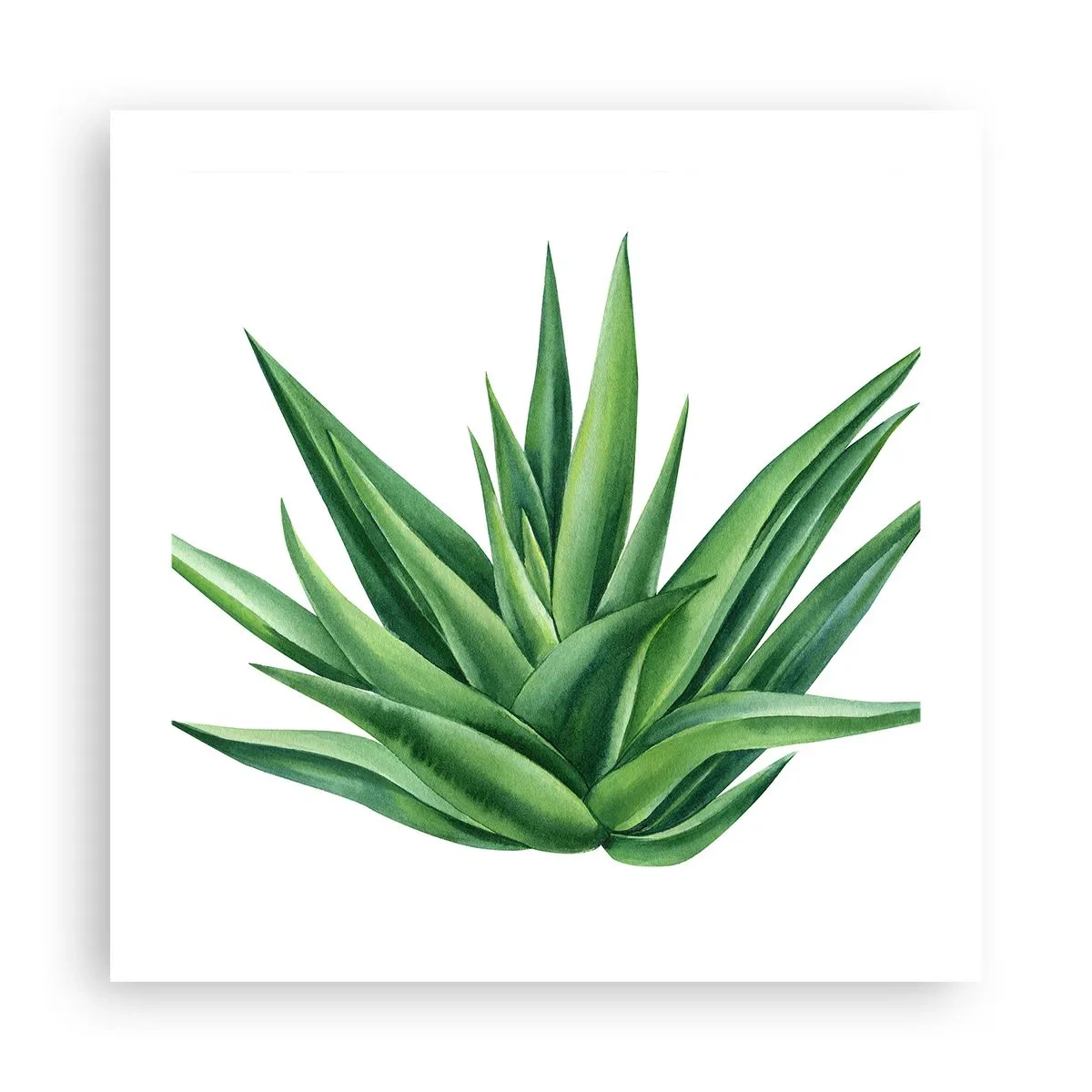 Poster - Verde - putere - viață - 50x50 cm