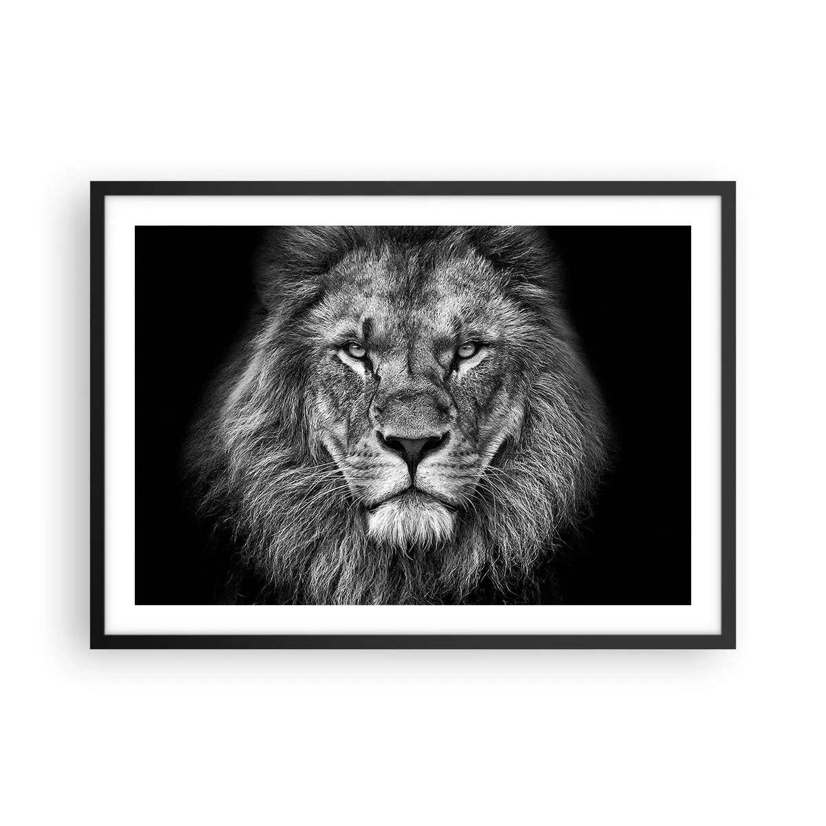 Poster în ramă neagră - În ținuta de încoronare - 70x50 cm