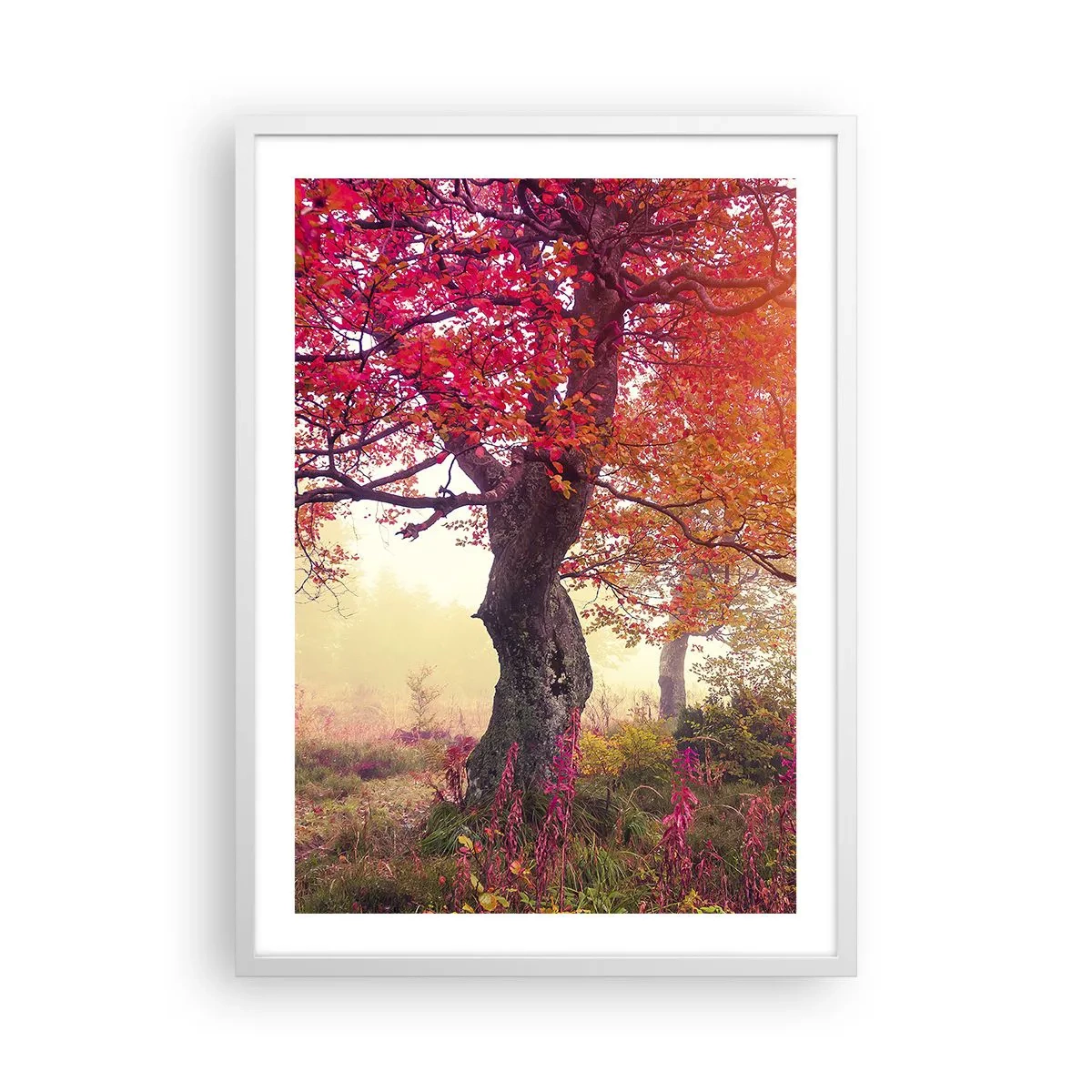 Poster în ramă albă - O frenezie de înflorire - 50x70 cm