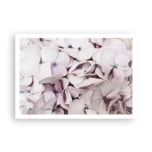 Poster - Într-un potop de flori - 100x70 cm