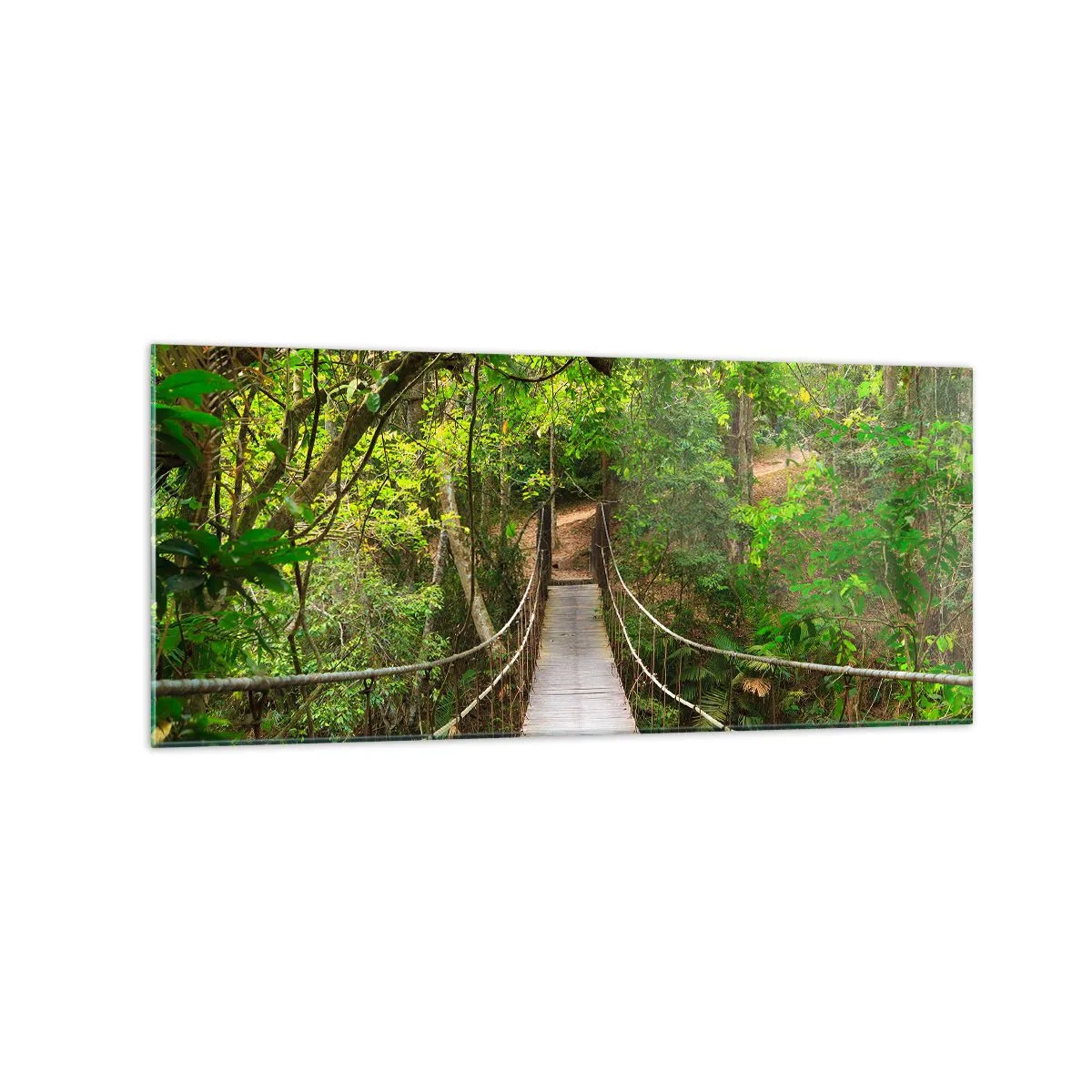 Tablou pe sticlă - Pentru că în grădină crește o liană - 120x50 cm