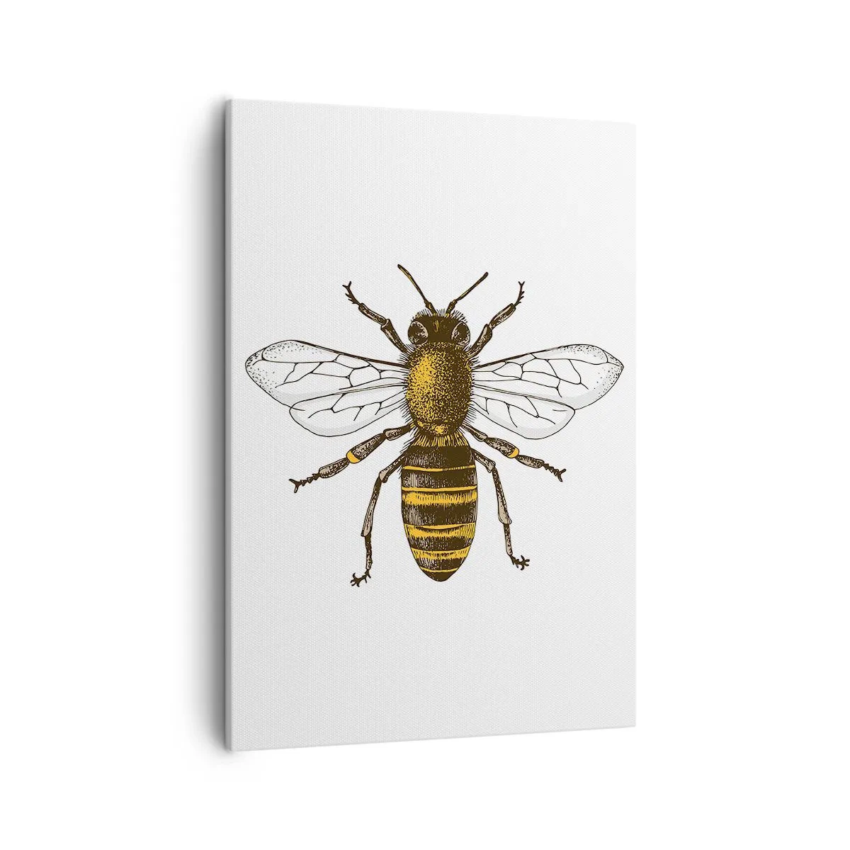 Tablou pe pânză - Frumoasă și bună - 50x70 cm