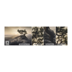 Mostră tapet Premium Sand - Viața învinge întotdeauna - Peisaj montan, Pin, Munţi - 100x30 cm