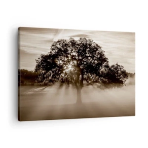 Tablou pe pânză Canvas - Raze de soare care strălucesc printr-un copac singuratic - 70x50cm - Un copac de vești bune - Decorațiune modernă pentru perete pentru living și dormitor ARTTOR