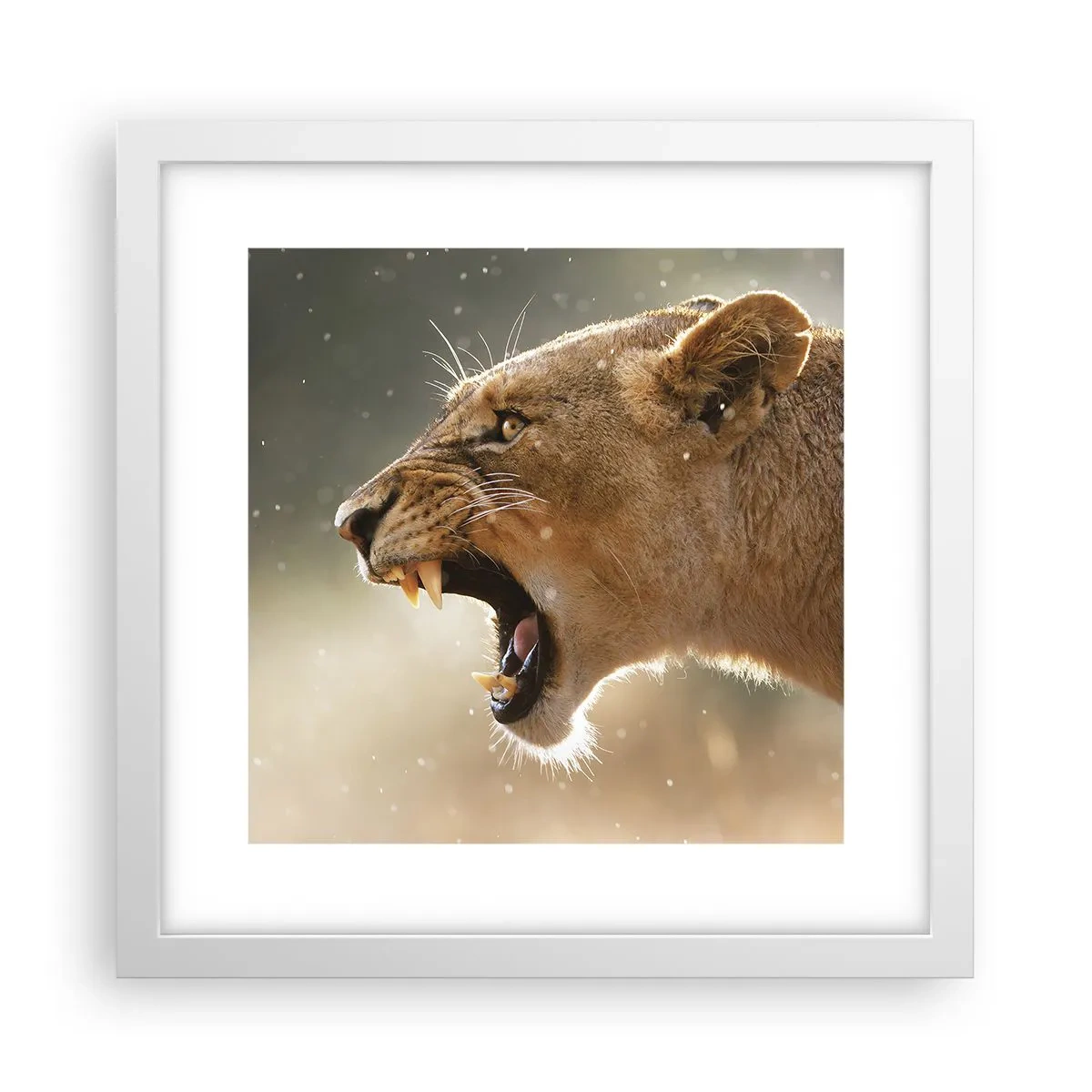 Poster în ramă albă - Încearcă să nu asculți - 30x30 cm