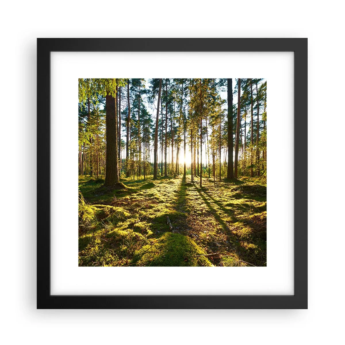 Poster în ramă neagră - Pădurea misterioasă - 30x30 cm