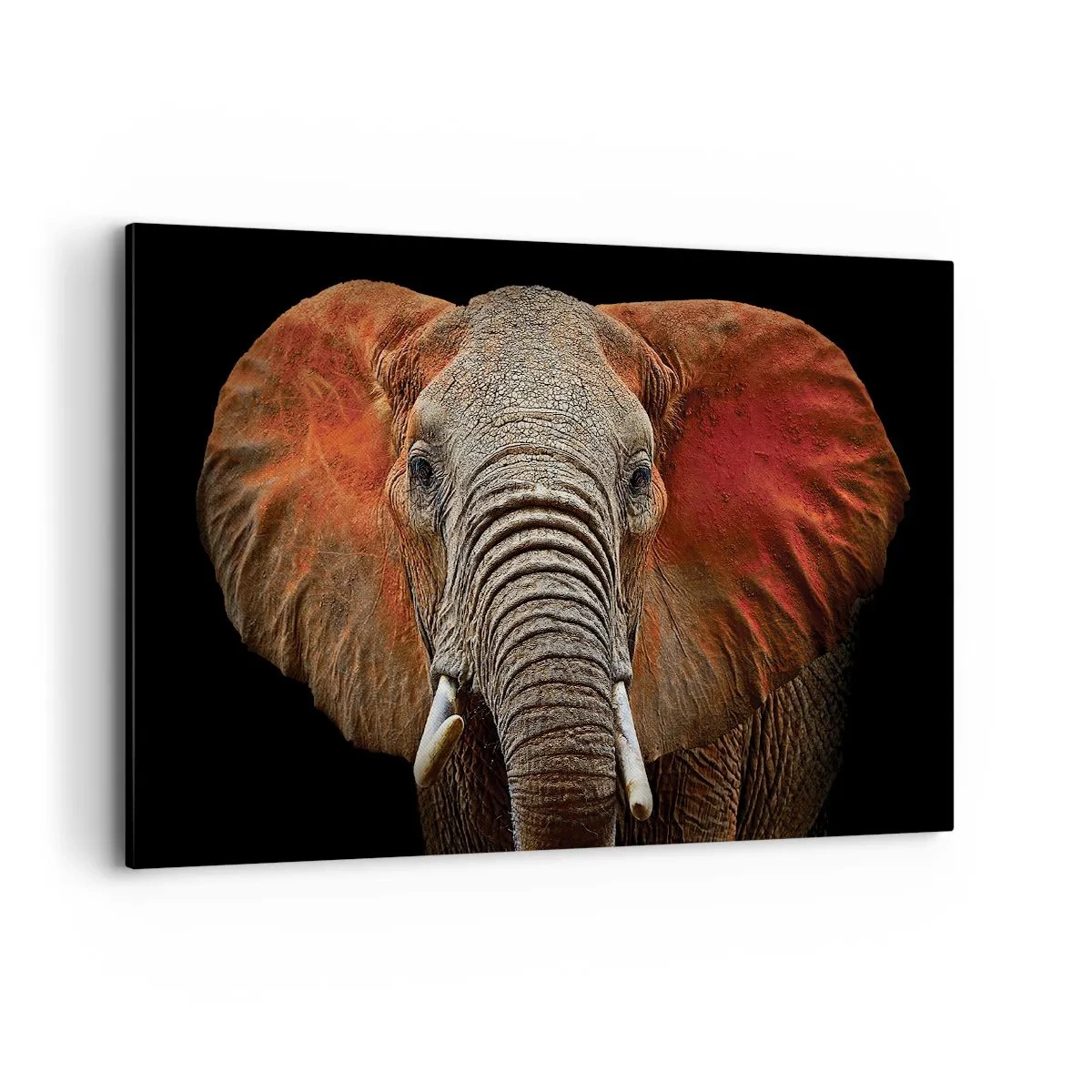 Tablou pe pânză - Sunt sălbatic, și tu? - 120x80 cm