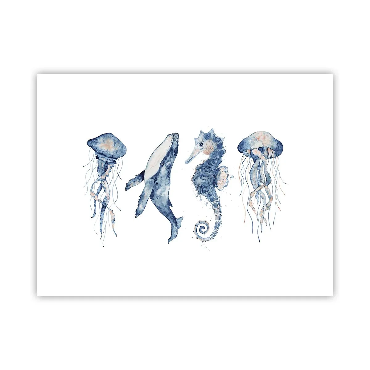 Poster - Fauna marină sălbatică - 40x30 cm