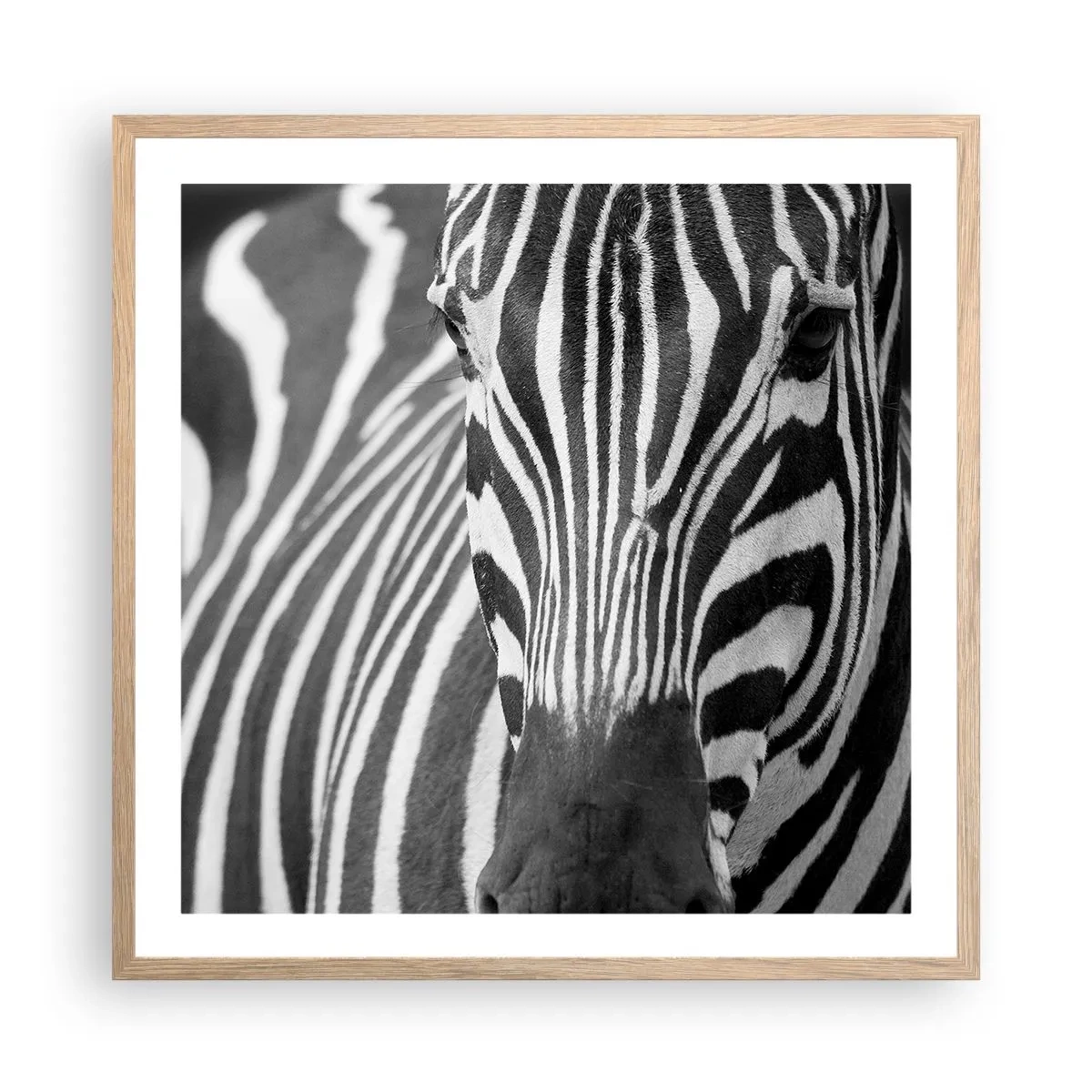 Poster în ramă de stejar deschis - Lumea e albă și neagră - 60x60 cm