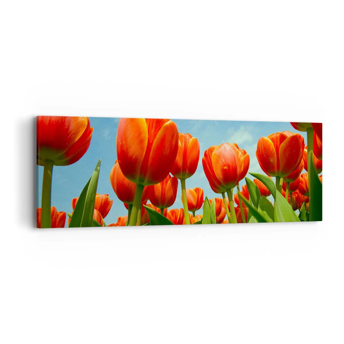 Tablou pe pânză - Doar cerul albastru - 90x30 cm