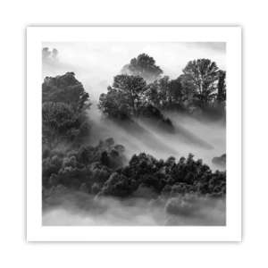 Poster - Trezindu-se din somn - 50x50 cm