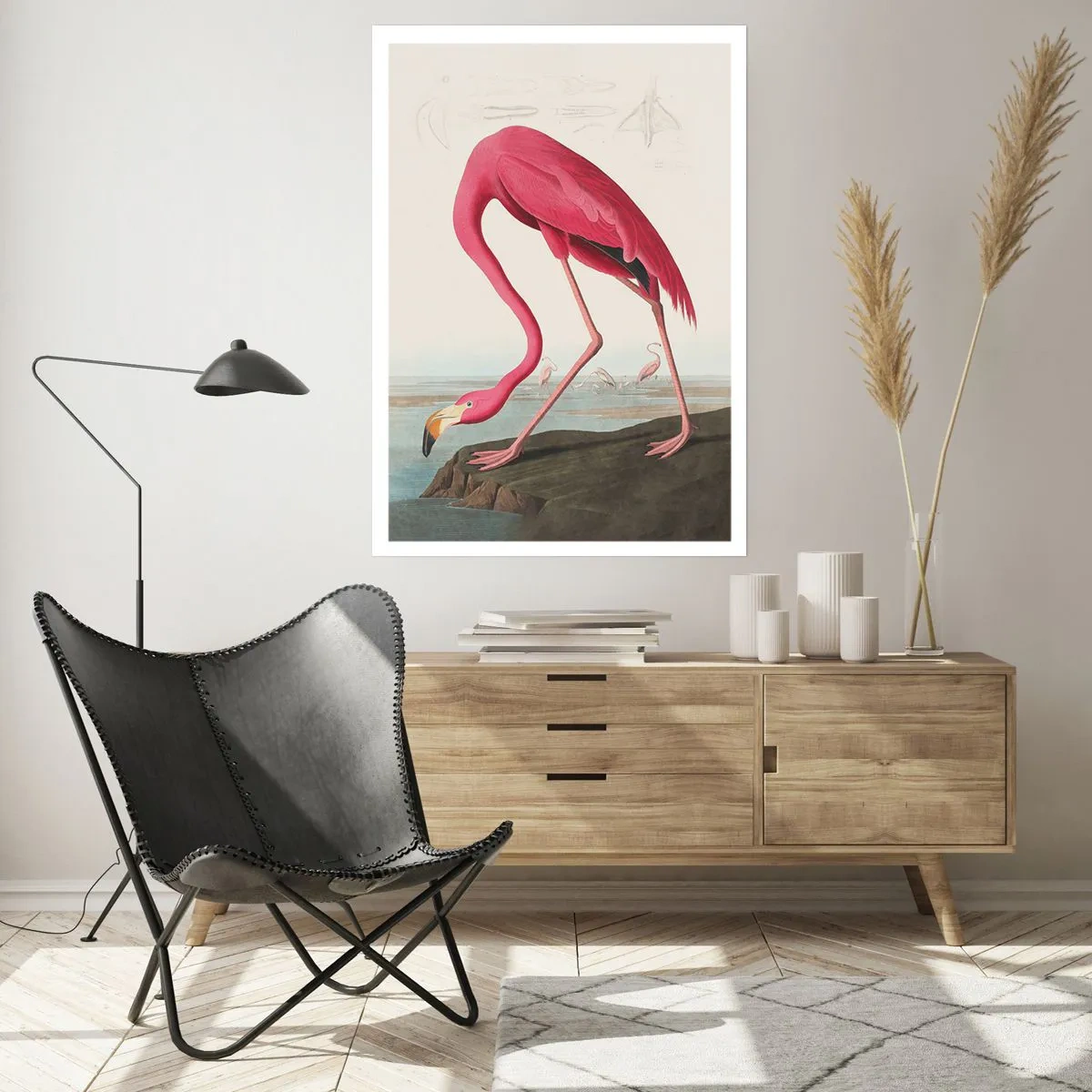 Poster - O creatură uimitoare - 50x70 cm